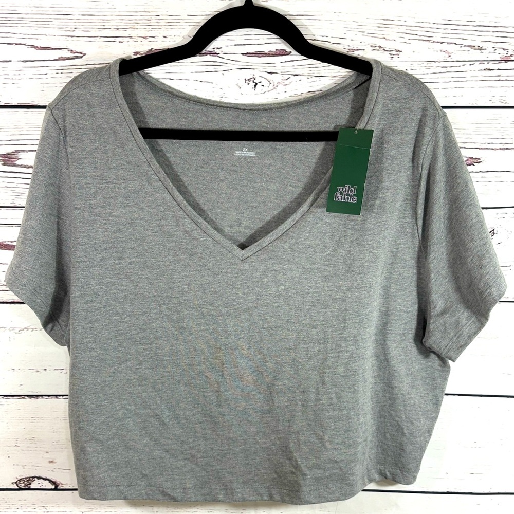 Wild Fable Heathers Grey V Neck Crop Top in Size 2XL